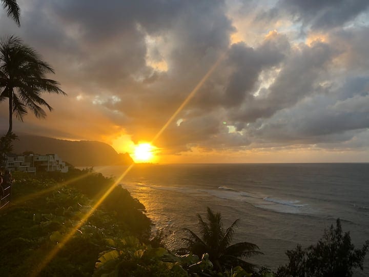 A breathtaking sunset is captured over the ocean, with golden rays streaming through the clouds. Lush green vegetation frames the foreground, providing a contrast to the tranquil waters and the distant shoreline, enhancing the serene evening ambiance.