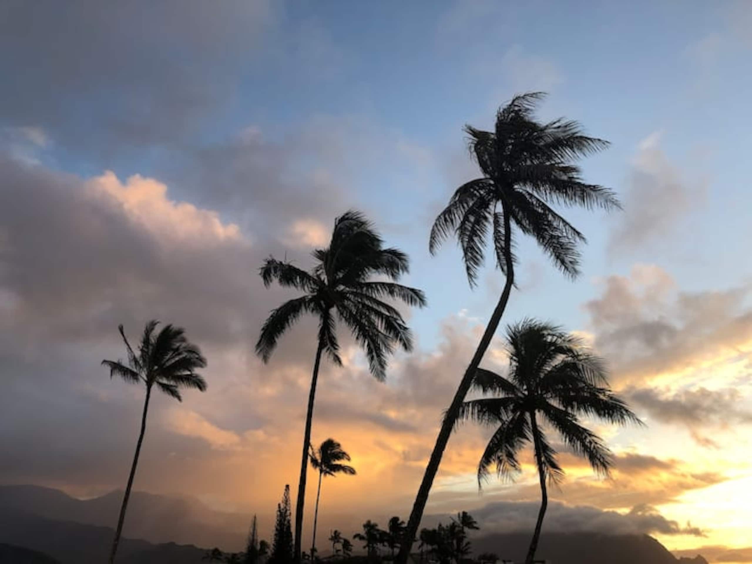 Condo in Princeville · ★4.97 · Studio · 1 bed · 1 bath - Image 13