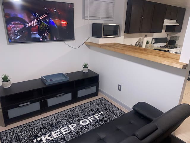 SPRINGFIELD ESTATE-9 MINS FRM JFK/ 20 MINS FRM LGA