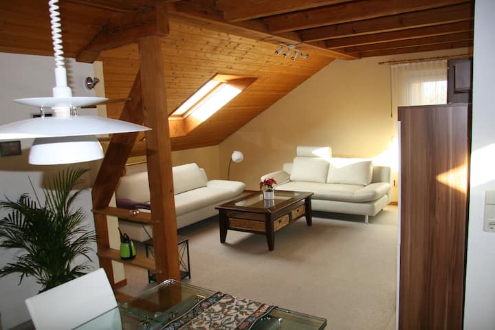 Family Holidays With Pool Sustainable And Relaxing - Heitersheim