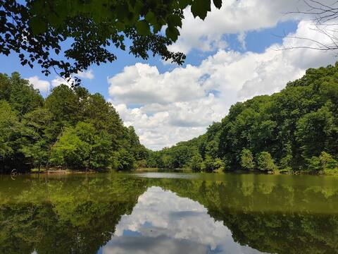 Clemson Private Lakefront Lodge! Nature & Football