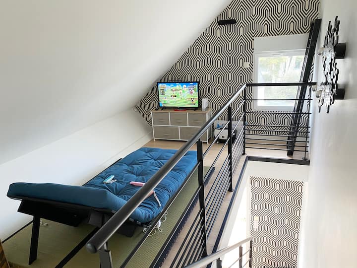Coin Japonais
Tatamis
Futon 90*200
Paravent en toile de riz
TV connectée smart TV
Wii plus jeux