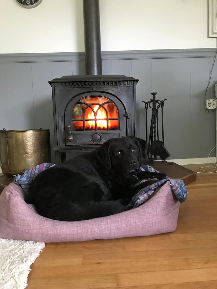 غرفة المعيشة