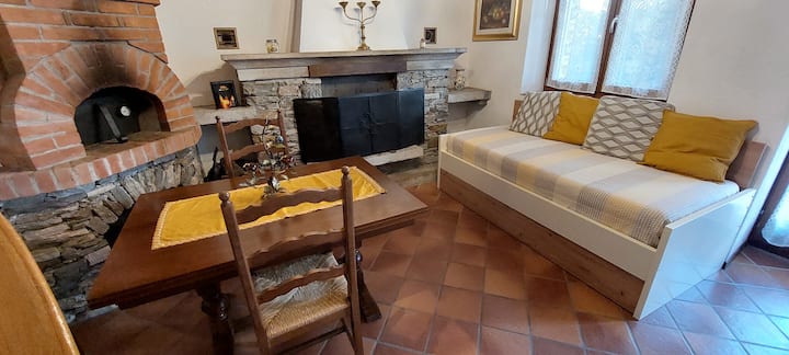 Rustico Ticinese Panoramico Immerso Nel Silenzio. - Canton Ticino
