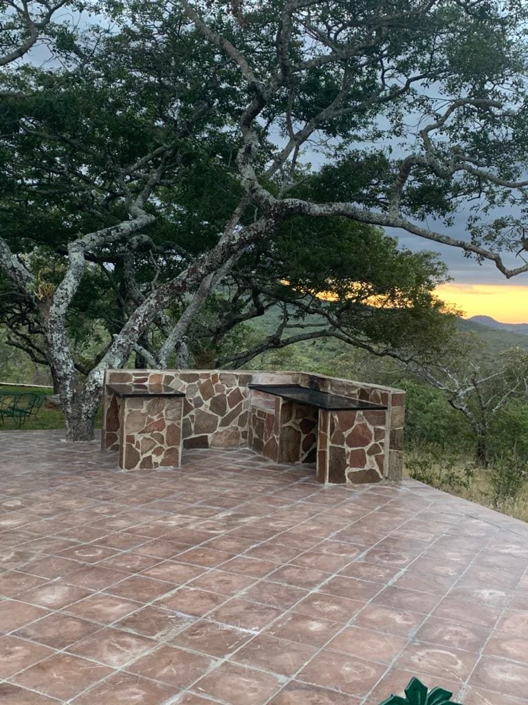 An outdoor barbeque area is set against a backdrop of lush greenery and a scenic view. The structure features stone walls and a flat countertop, surrounded by large trees. A tiled floor extends across the space, enhancing the connection to nature.