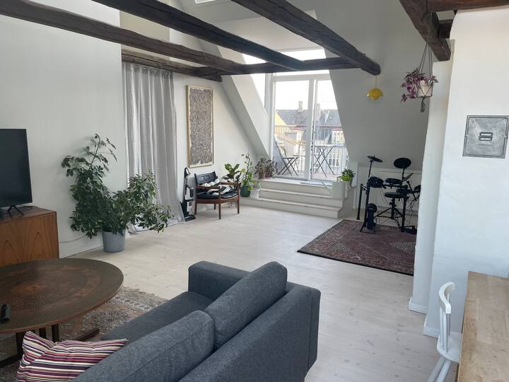 Remarkable apartment in the heart of Nørrebro Condominiums for Rent