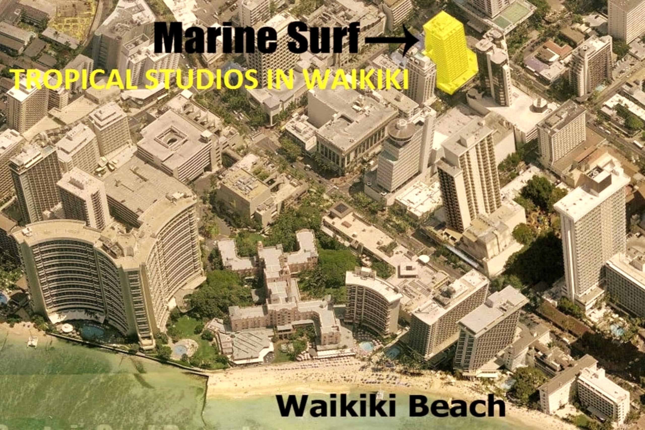💎PERFECT STUDIOS💎  5min to 🏄‍♀️🏊‍♀️🏖🐠🐋🦈FREE 🚙🅿️ 250mbps+💻 - Image 19