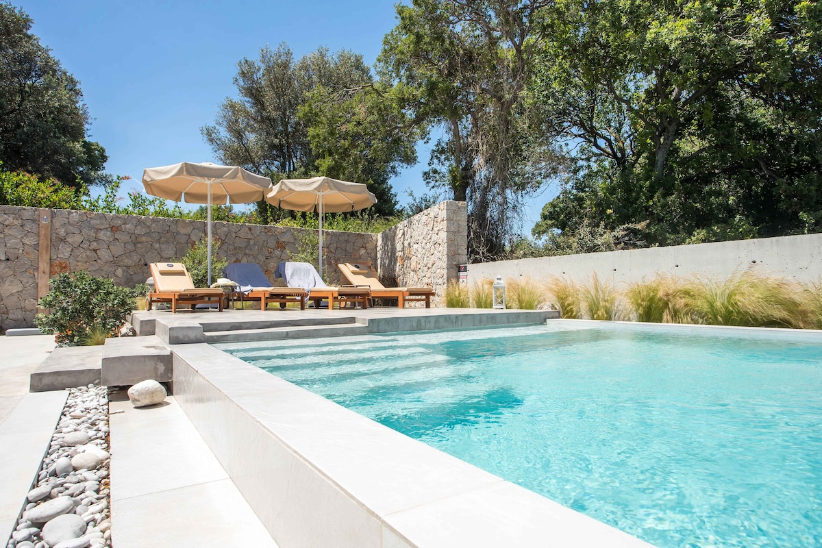 A serene swimming pool is surrounded by a stylish patio featuring sun loungers under shaded umbrellas. The landscaping includes natural stones and lush greenery, creating a tranquil outdoor setting. A smooth wall encloses the area, enhancing the sense of privacy.