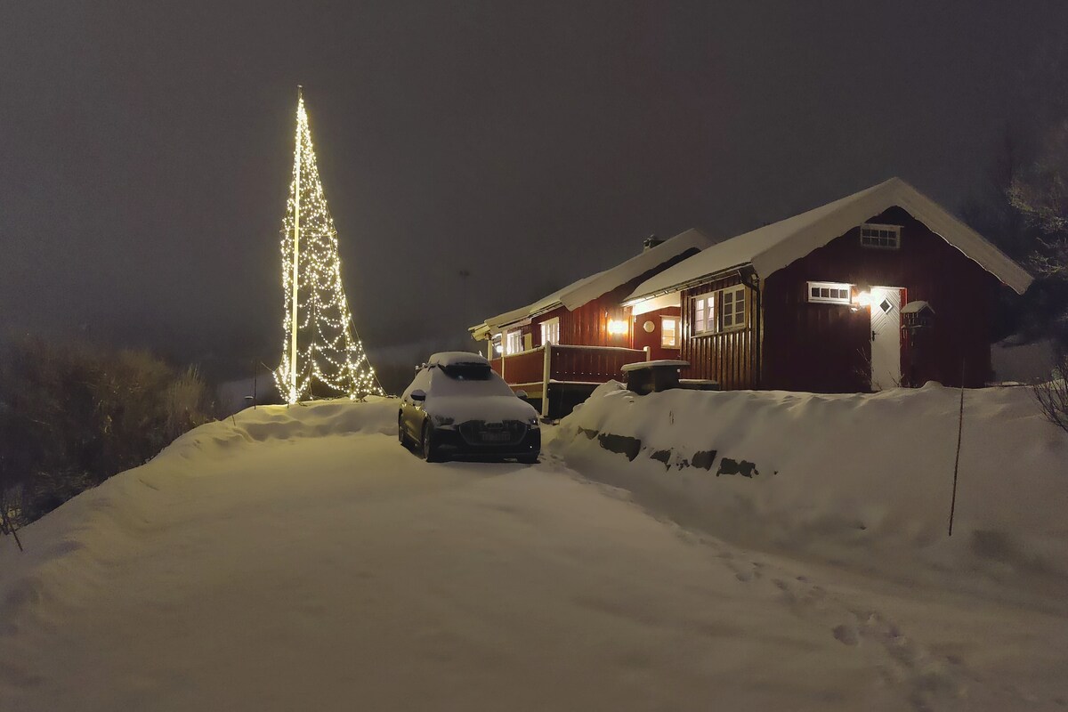 A charming cabin is illuminated by a lit tree in front. Soft snow blankets the ground, enhancing the winter ambiance. A parked car is visible, partially covered by snow. The cozy exterior reflects a welcoming atmosphere against the night sky.