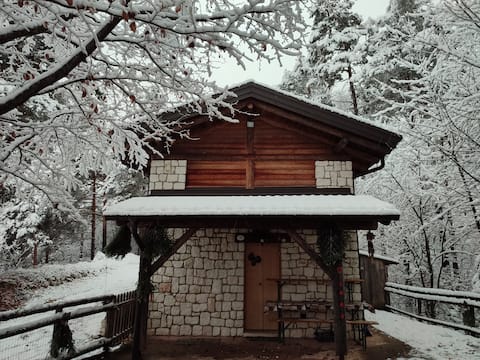 filadonna cabin cin it022236c224me96ag