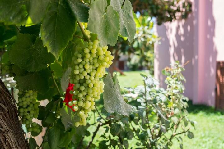 Family Haven Villa & VIP Pool gallery image 5