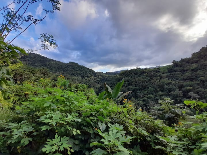 Secluded Mountain Retreat @ Eco Farm With River - Utuado