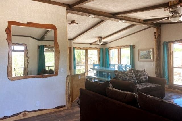 Შესასვლელი გზა