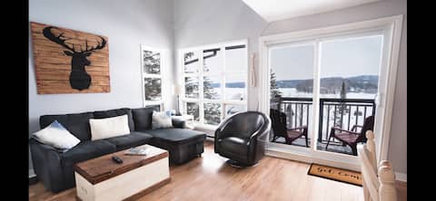 Top performing Airbnb: Lakehill Haven in Hidden Valley Slope and Lakeside in Muskoka