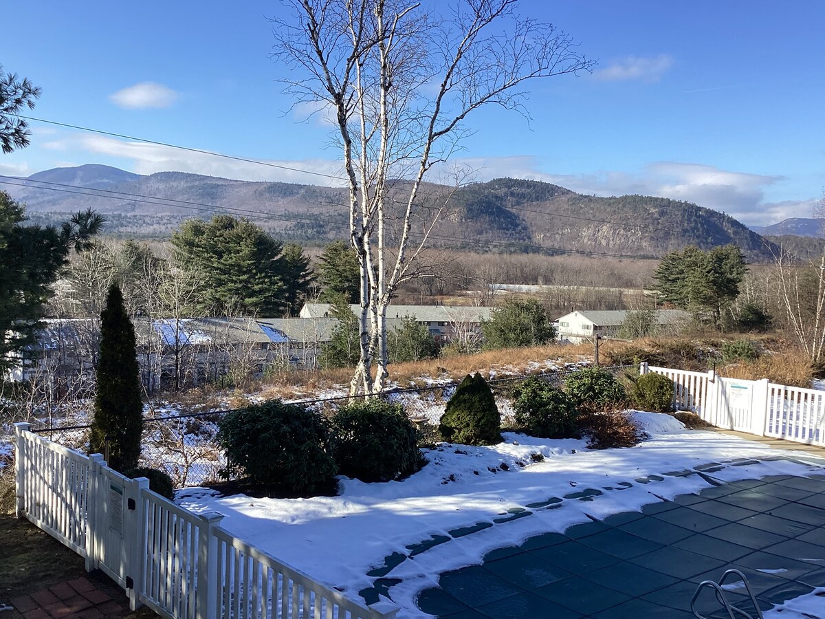 Top Floor! Incredible views/ close to town/hiking Condominiums for Rent in Intervale, New