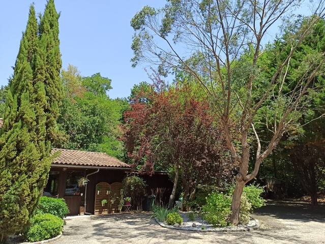 Bâtisse du 19ème de 290m2 avec piscine couverte gallery image 3