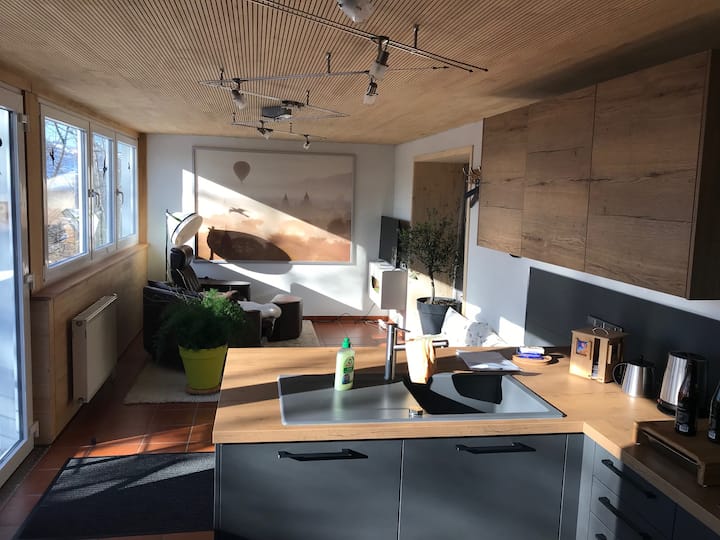 Adjacent apartment fully furnished, smart TV Apartments for Rent in