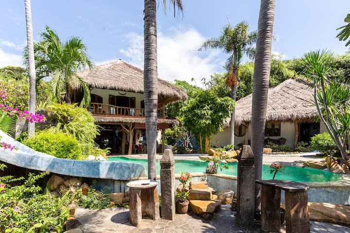 別売り可能】1ペア ヴィクトリアトリバネアゲハ（ラノンガ島/ソロモン  