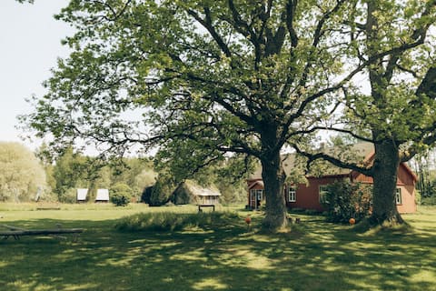 Country house Lips - Master house