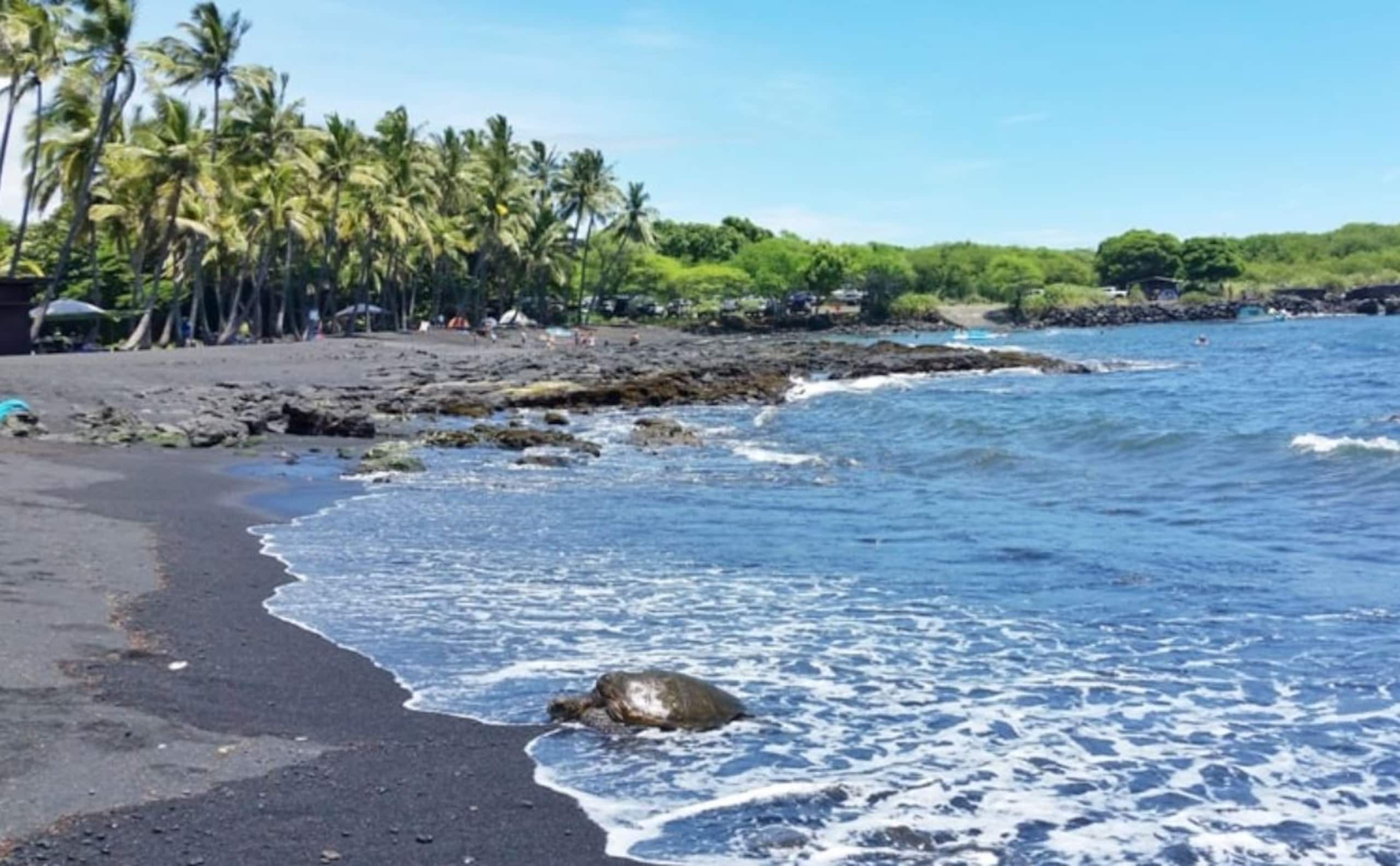 Hotel in Naalehu · ★4.88 · 1 bedroom · 1 bed · 1 private bath - Image 26