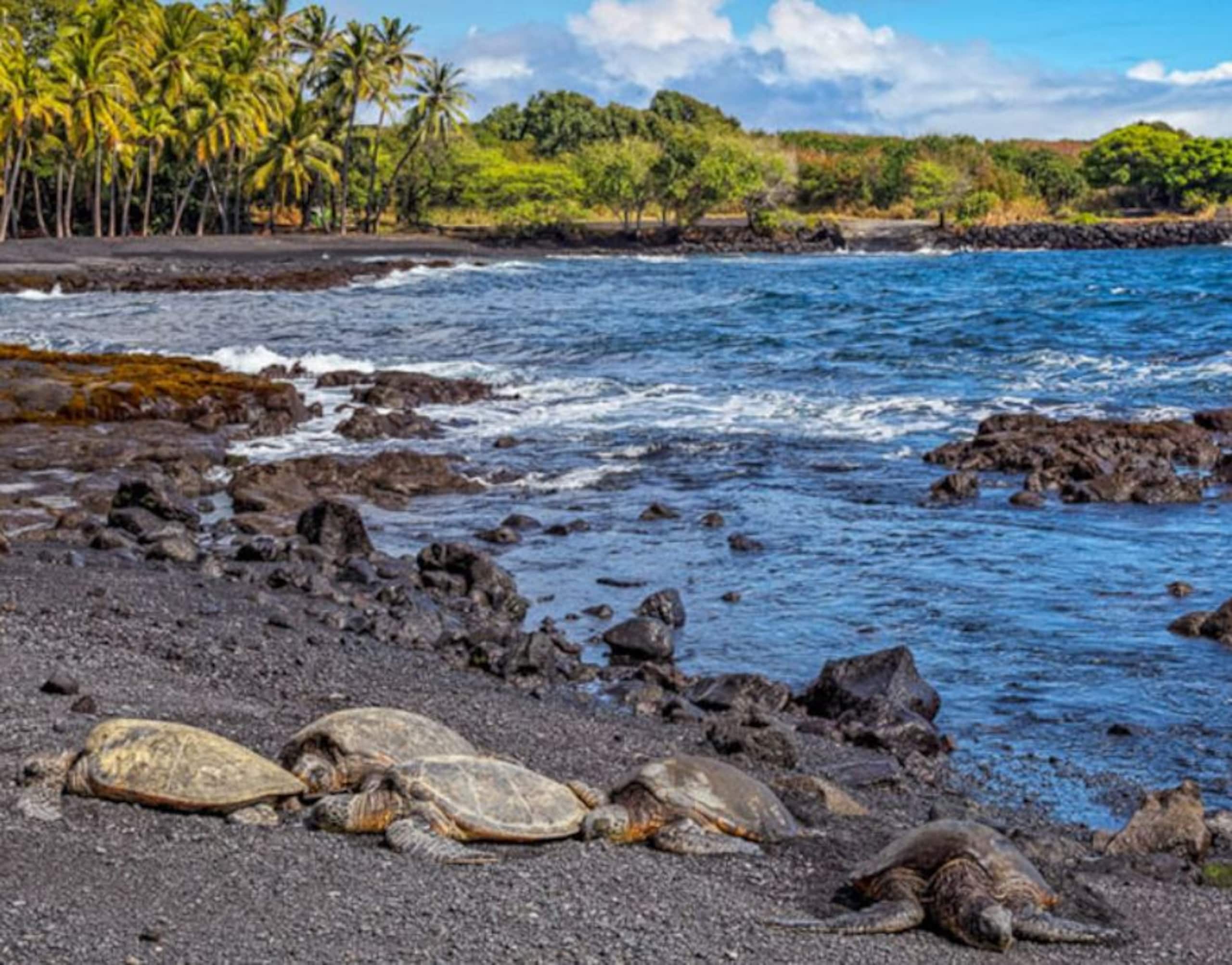 Hotel in Naalehu · ★4.88 · 1 bedroom · 1 bed · 1 private bath - Image 31