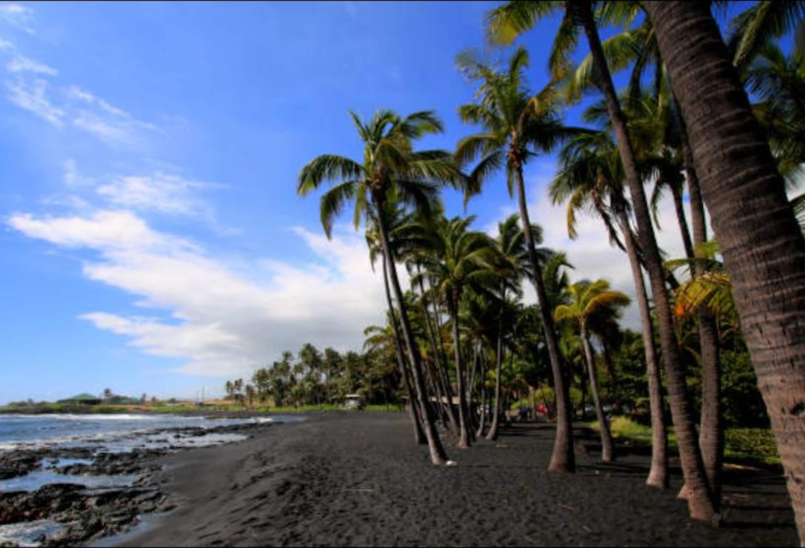 Hotel in Naalehu · ★4.88 · 1 bedroom · 1 bed · 1 private bath - Image 27