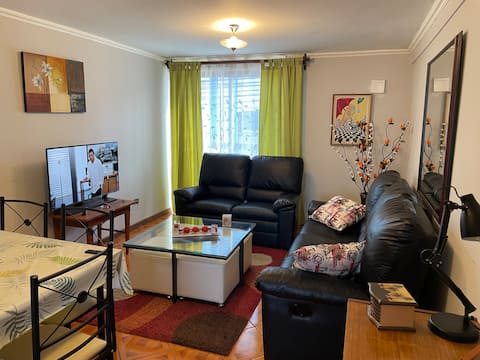 Popular Airbnb listing: Nice apartment in downtown sector 2-D in Constitución