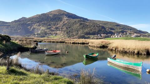 Connect with disconnection in Limpias š