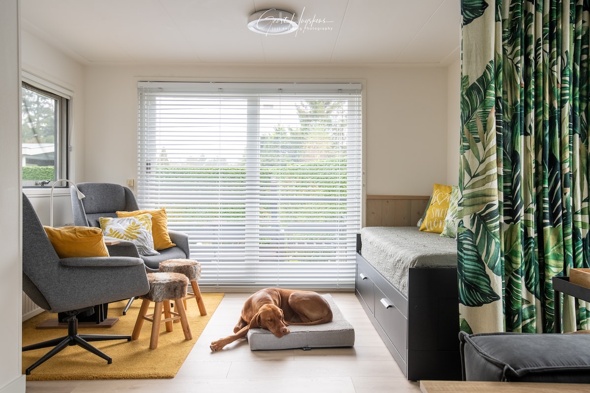 Top Airbnb: Super cozy cottage to relax and unwind! in Wijk 01 Bosgebied En Krachtighuizen