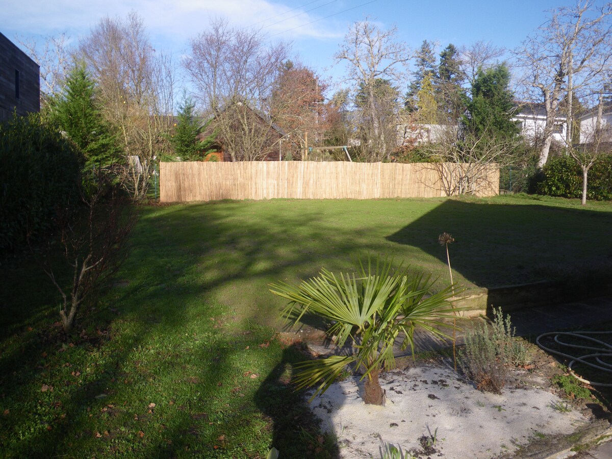 A spacious garden features a neatly trimmed lawn bordered by a wooden fence. Various trees and plants are visible, with a small area of gravel and a palm plant positioned in the foreground. Sunlight illuminates the scene, casting shadows across the yard.