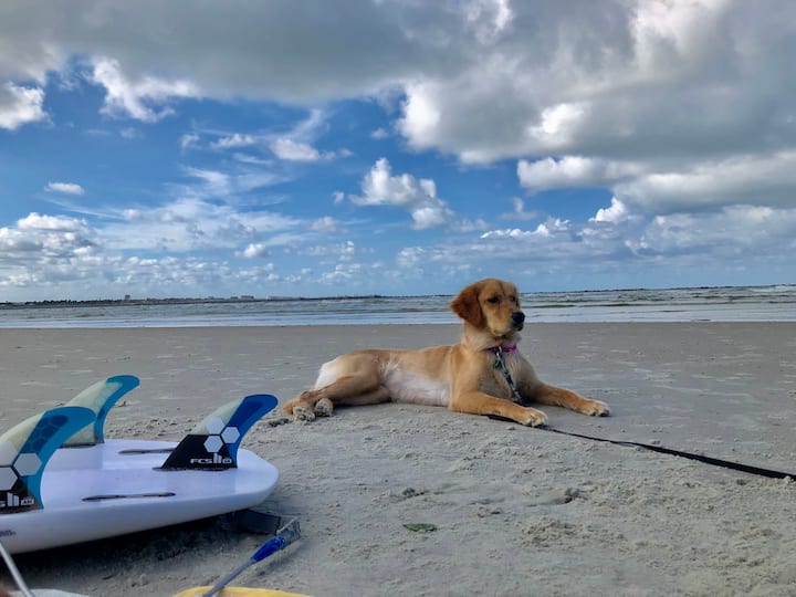 The Salty Casita 5 Minute Walk From Beach Apartments for Rent in