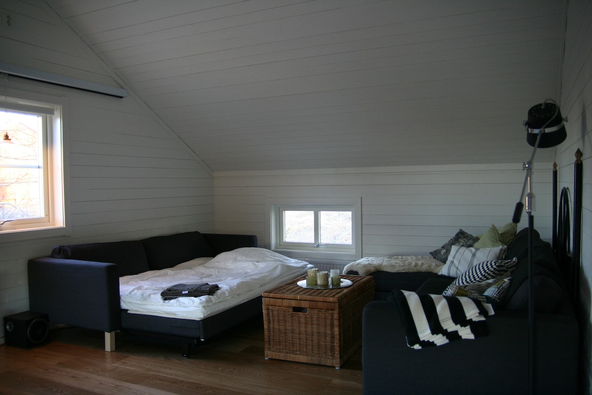 Salon avec canapé-lit