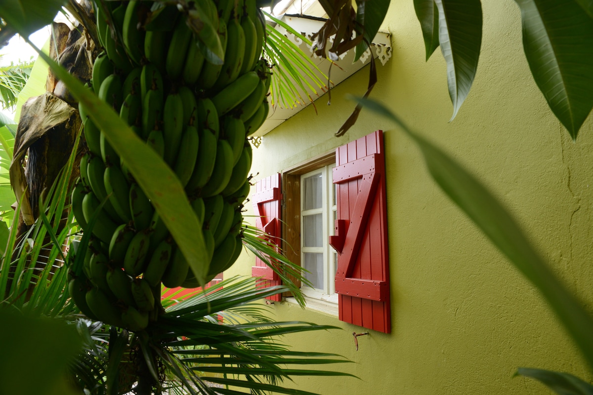 Lush green banana plants frame a red-shuttered window on a vibrant yellow wall. The window, adorned with decorative elements, is partially obscured by surrounding foliage, creating a tropical and serene setting.