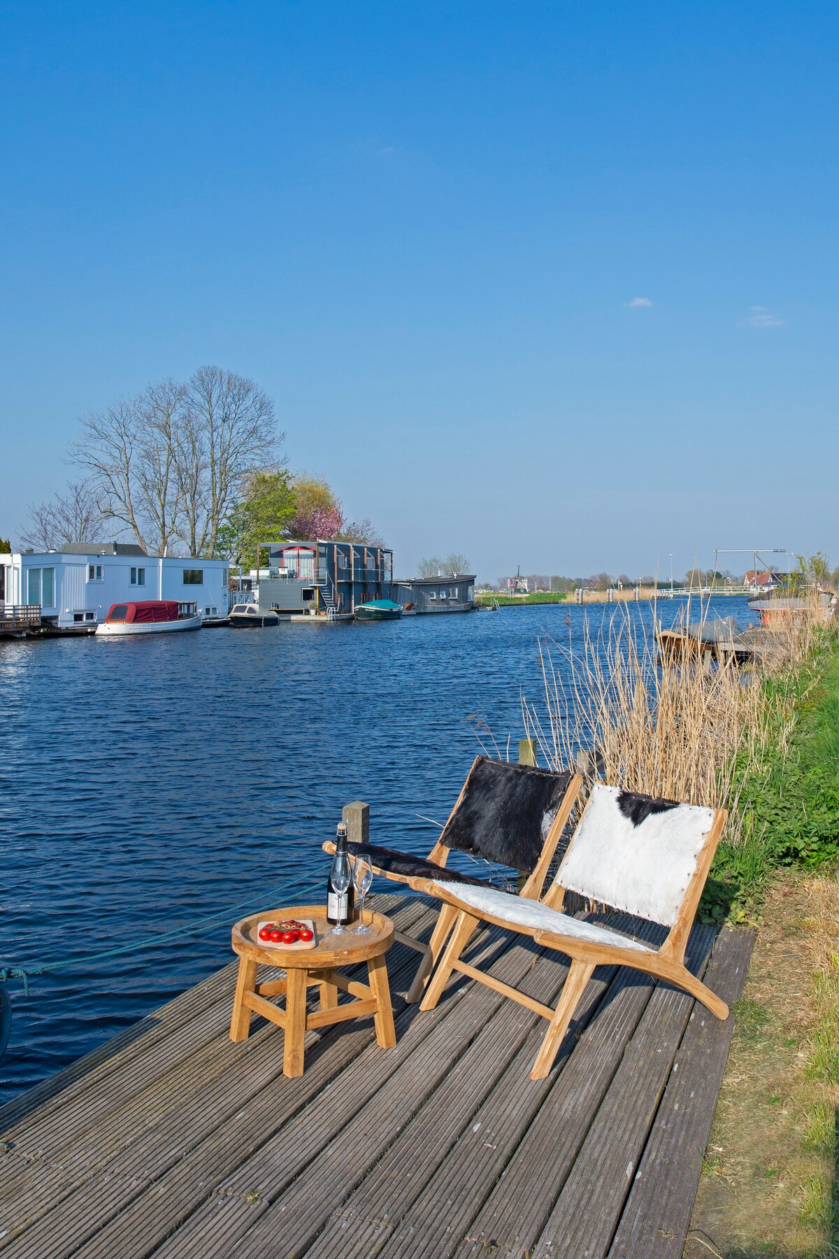 A serene waterside view captures two wooden chairs with soft cushions positioned near a calm waterway. A small wooden table holds a bottle of wine and a plate of strawberries. Lush reeds and trees line the bank, adding to the tranquil ambiance.
