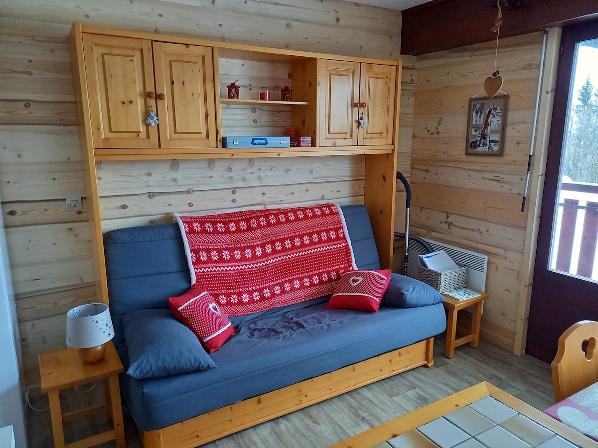 Top performing Airbnb: Cozy apartment with private parking in Le Grand Bornand