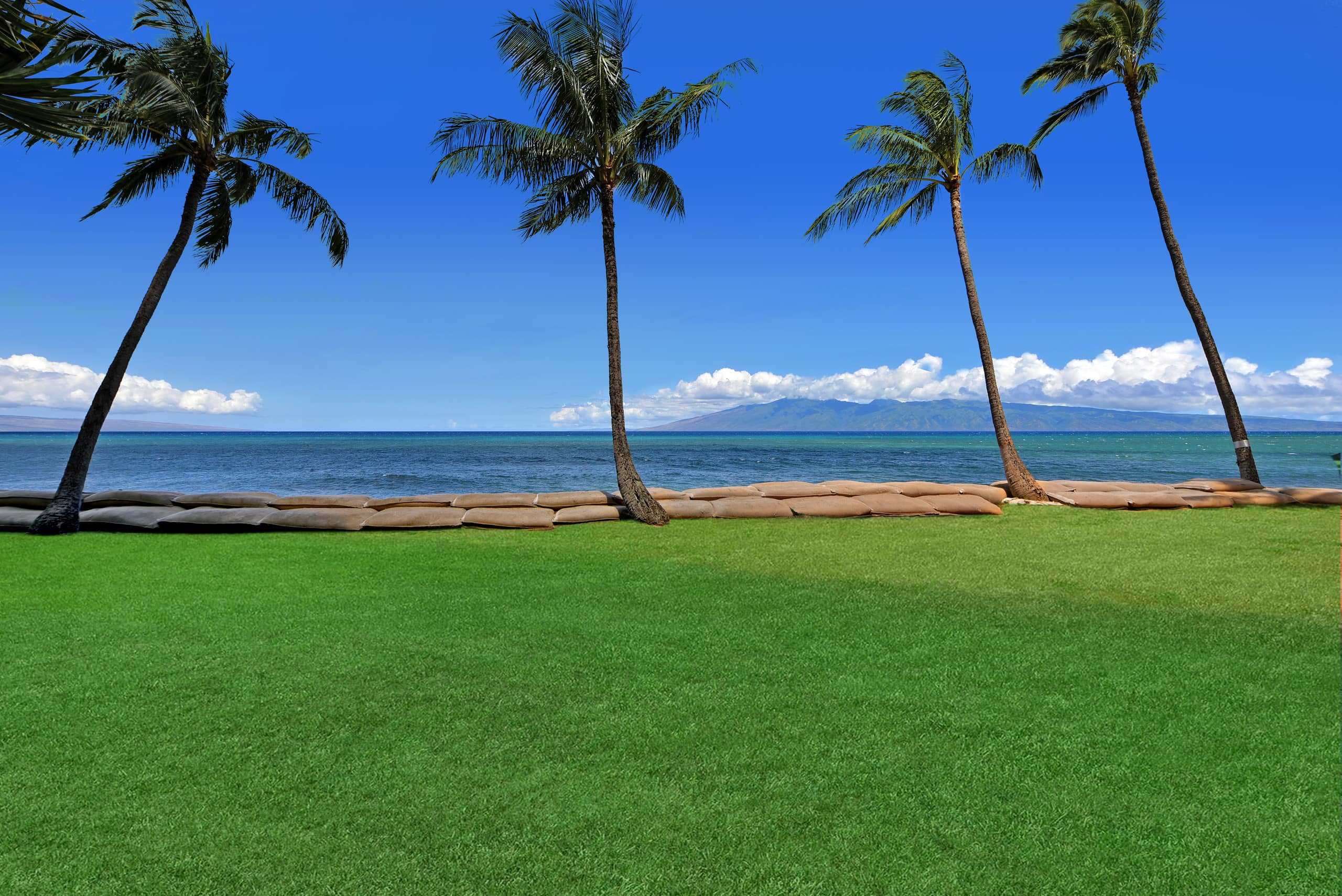 Condo in Lahaina · ★4.78 · 2 bedrooms · 5 beds · 2 private baths - Image 33