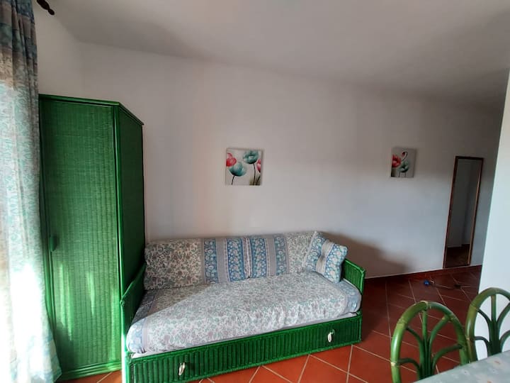 单人沙发床或标准双人沙发床，配有矫形床