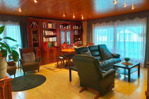 Large luxurious apartment in the center of Andorra