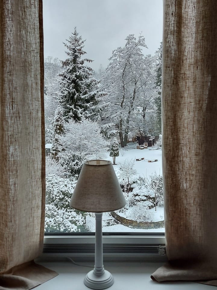 อพาร์ทเมนท์สำหรับวันหยุด "สีน้ำเงิน" ห้องนอนที่มองเห็นแม่น้ำและสวน