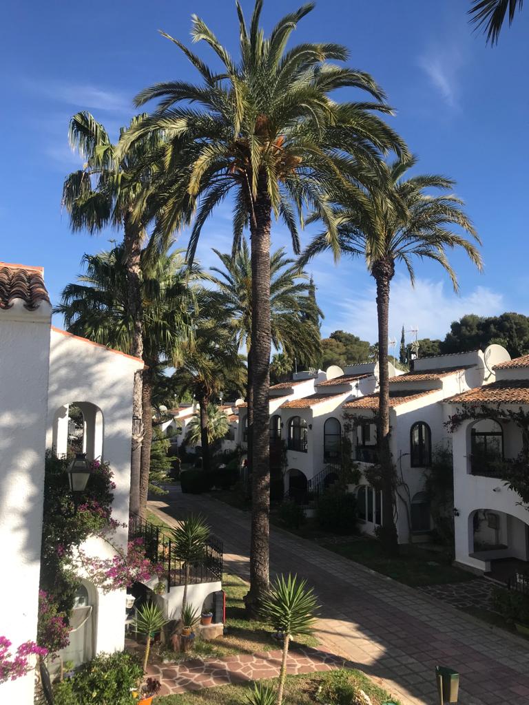 Tall palm trees stand alongside white-walled buildings, creating a tropical ambiance. A winding pathway leads through the neighborhood, flanked by well-maintained greenery. The blue sky enhances the serene environment, suggesting a peaceful setting within the urbanization.