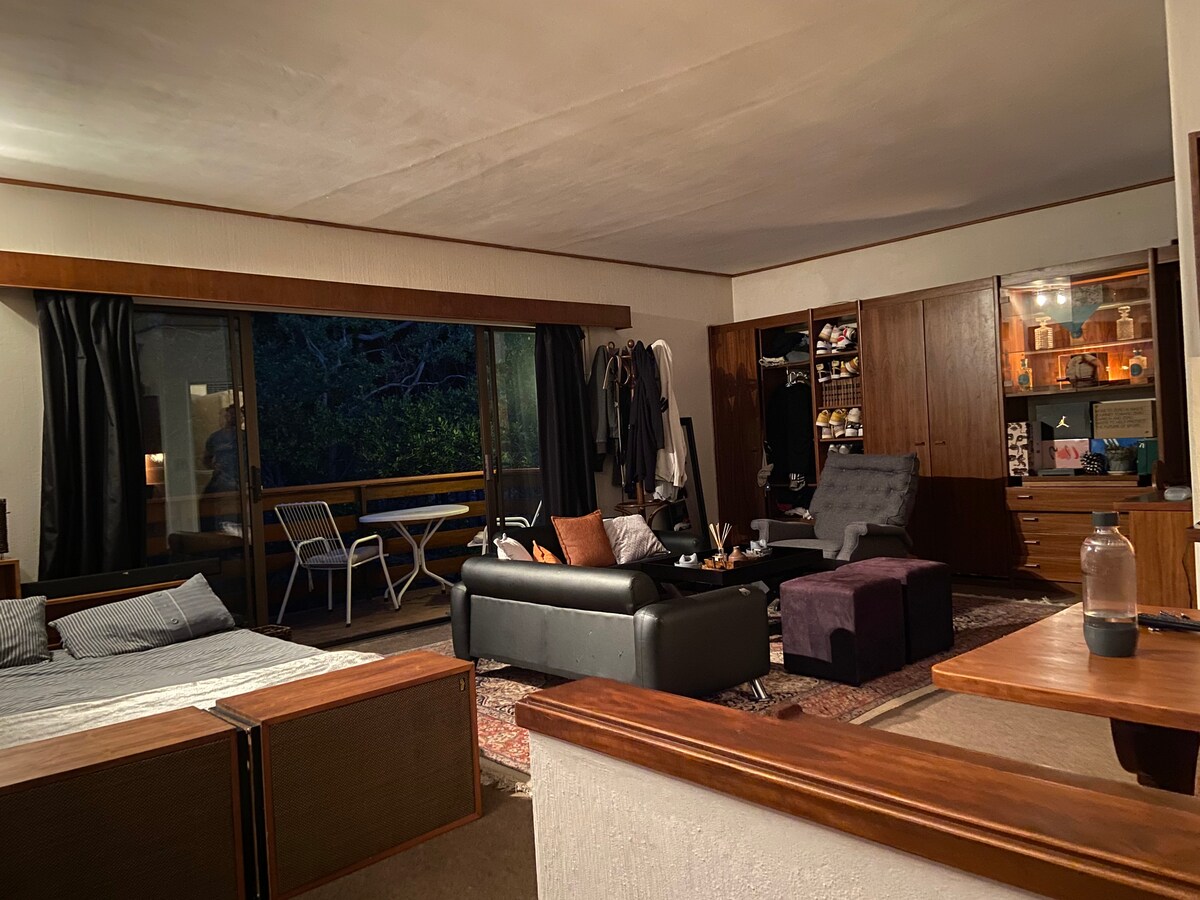 Салон со отворен план, кујничка и простор за спиење во едно