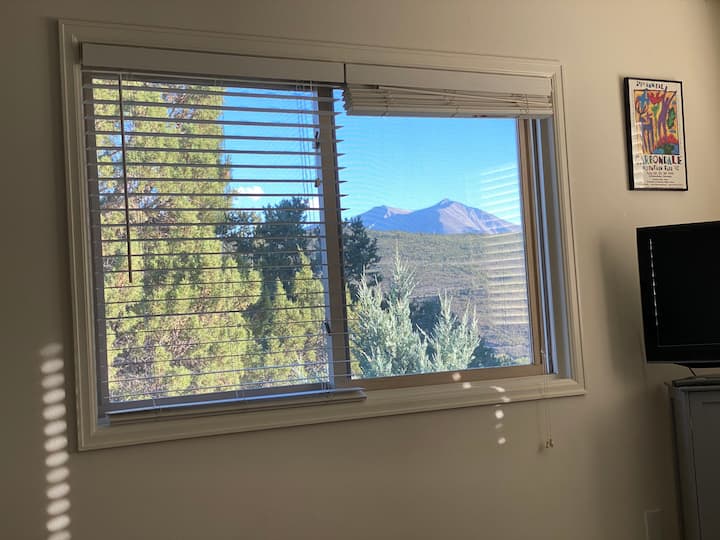 One Bedroom Convenient Base To Adventure - Carbondale, CO
