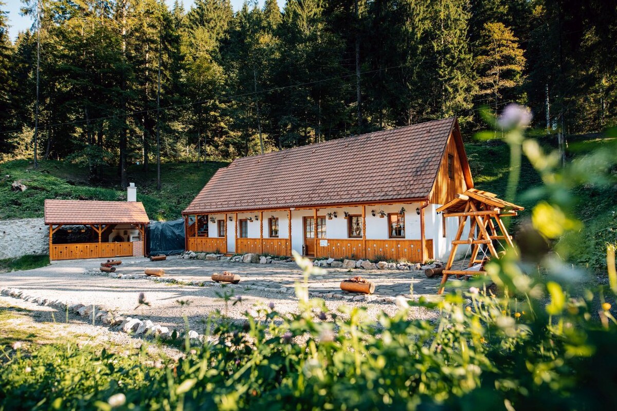 Bicazu Ardelean Vacation Rentals & Homes - Romania | Airbnb