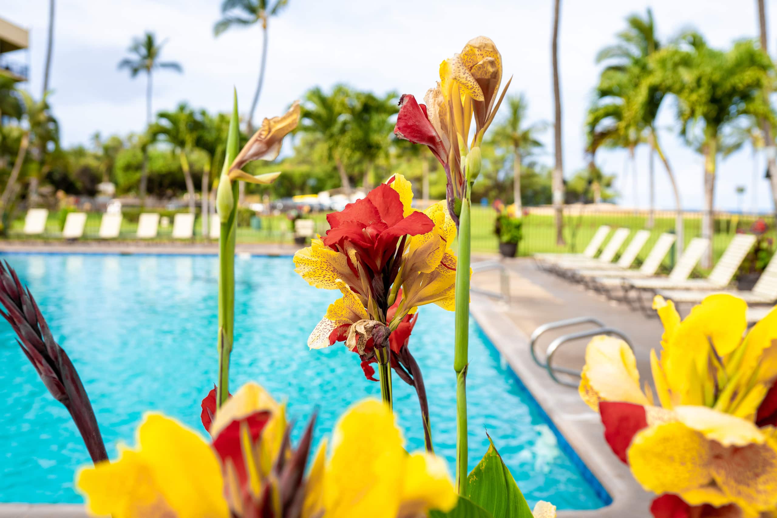 Condo in Kihei · ★4.91 · 2 bedrooms · 3 beds · 2 private baths - Image 67