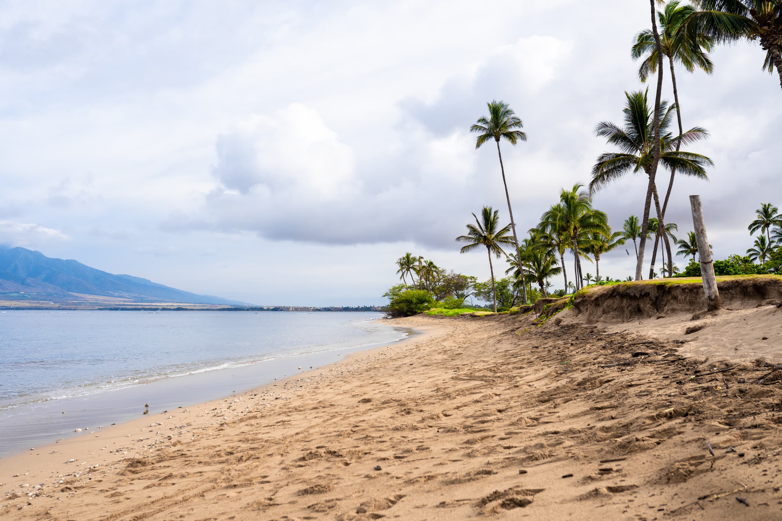Condo in Kihei · ★4.91 · 2 bedrooms · 3 beds · 2 private baths - Image 59