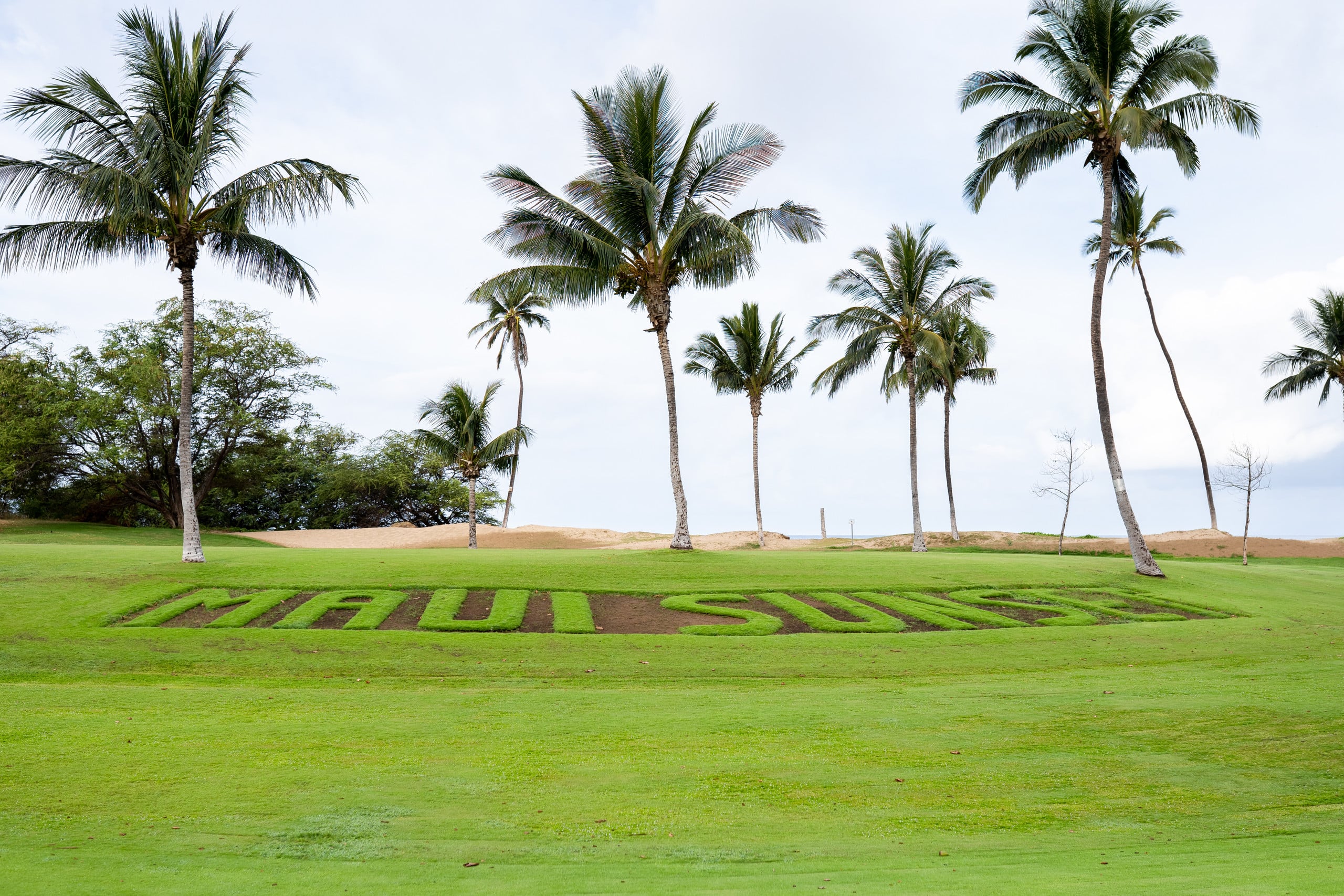 Condo in Kihei · ★4.91 · 2 bedrooms · 3 beds · 2 private baths - Image 60