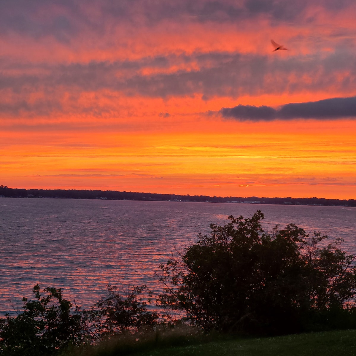 A vibrant sunset paints the sky in shades of orange and pink over Sodus Bay. The calm waters reflect the colorful hues, while silhouettes of nearby greenery and trees frame the scene, enhancing the natural beauty of this waterfront location.