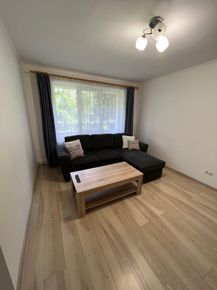 Apartament Cu Doua Camere De Inchiriat - Baia Mare