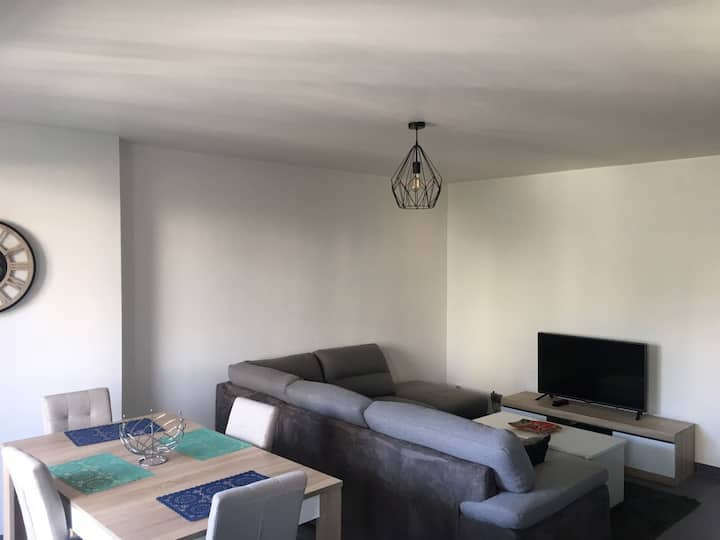 Nice T2 Apartment near CERN, fullyequipped. Apartments for Rent in