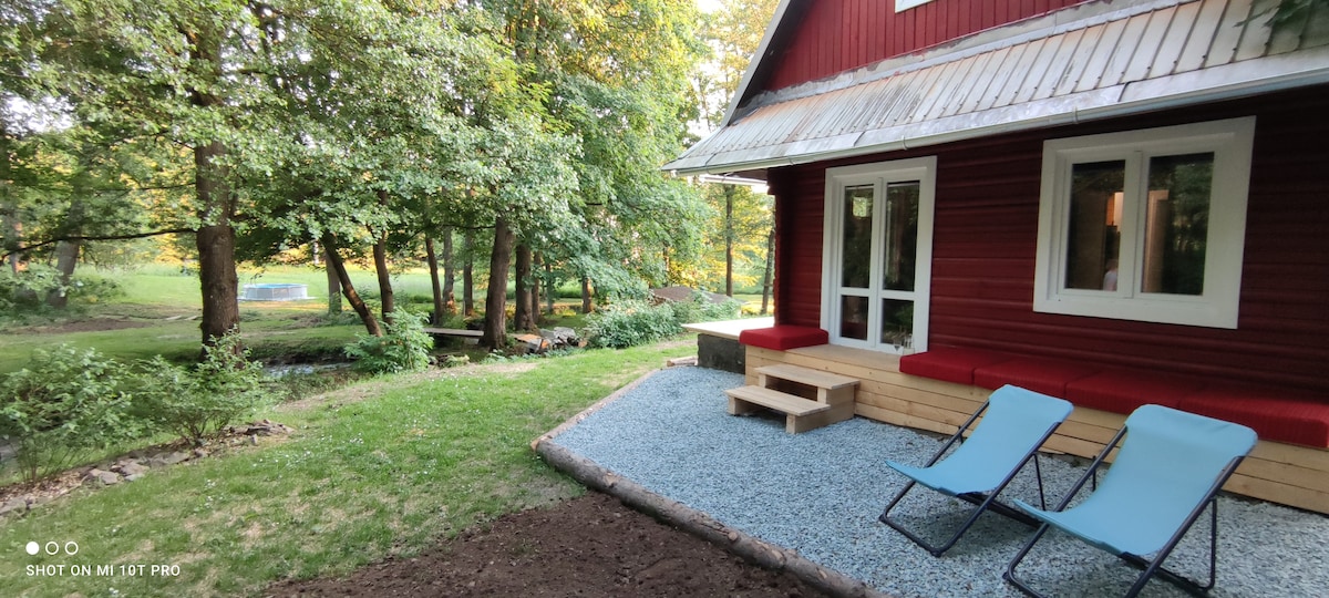 A wooden cabin features a cozy outdoor space with two blue lounge chairs arranged on a gravel patio. The cabin is surrounded by lush greenery, and a gentle stream can be seen in the background, creating a serene natural setting.